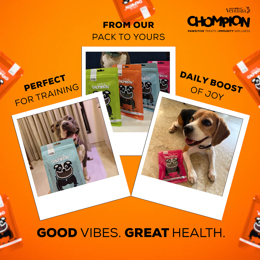 Venttura Chompion Pawsitive Immunity Wellness Dogs Treats - Image 7