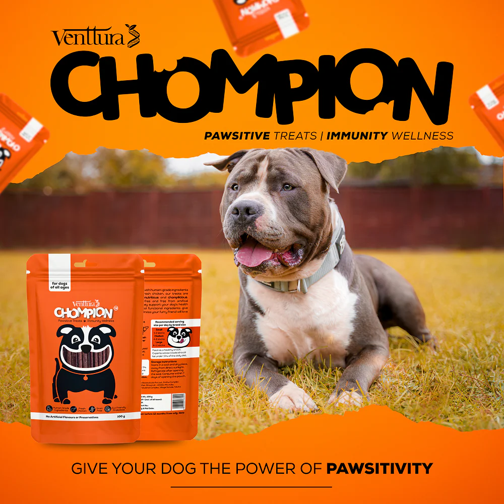 Venttura Chompion Pawsitive Immunity Wellness Dogs Treats - Image 8