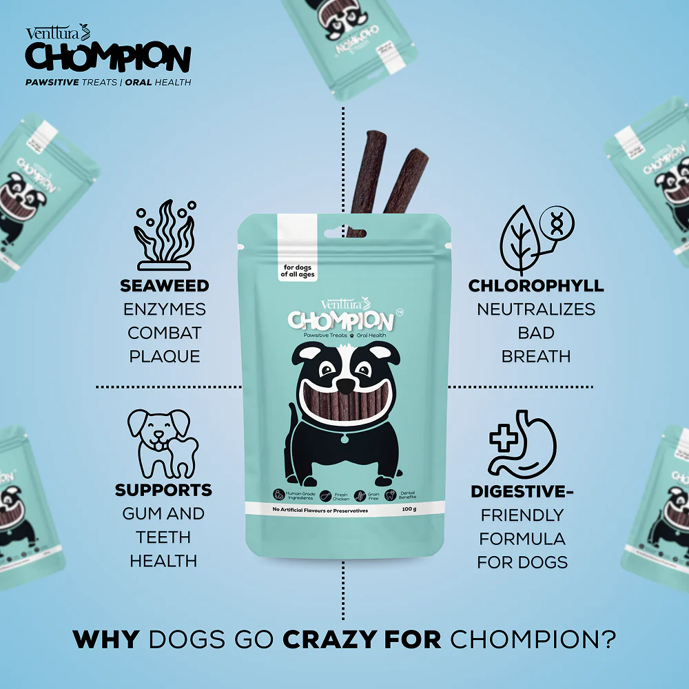 Venttura Chompion Pawsitive Oral Health Dog Treats - Image 4
