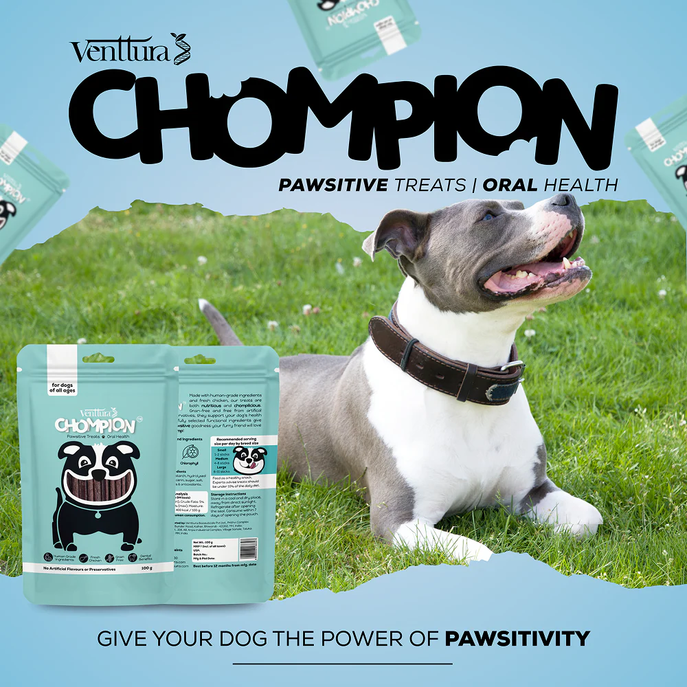 Venttura Chompion Pawsitive Oral Health Dog Treats - Image 7