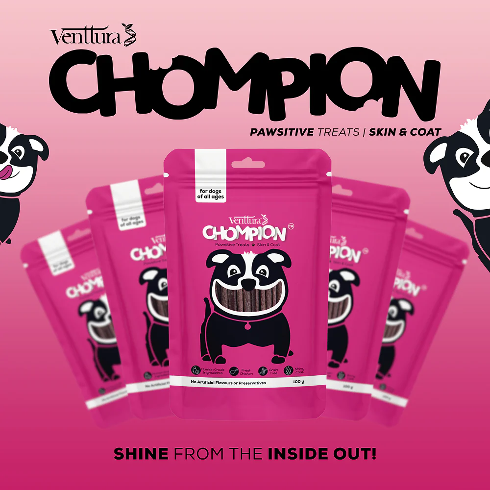 Venttura Chompion Pawsitive Skin and Coat Dog Treats - Image 3