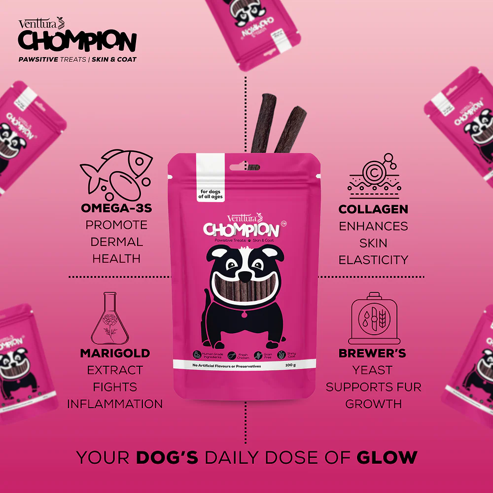 Venttura Chompion Pawsitive Skin and Coat Dog Treats - Image 4