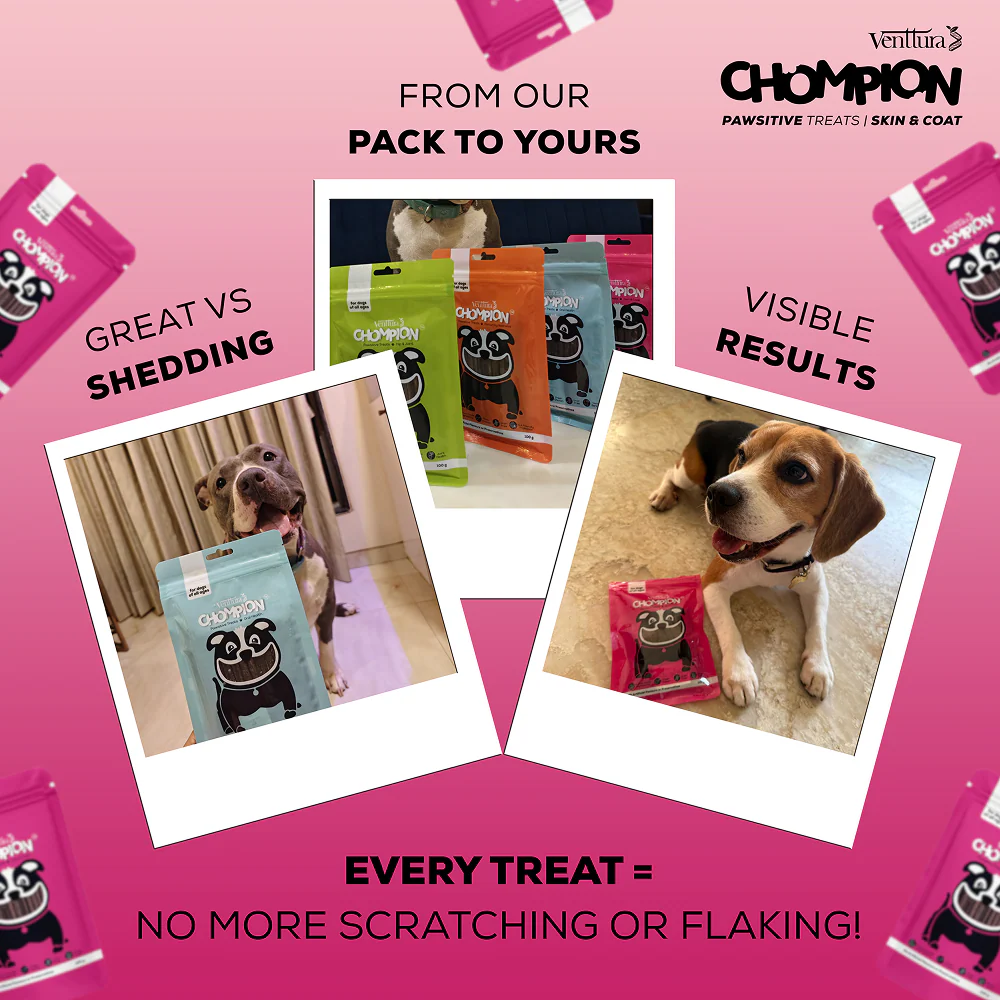 Venttura Chompion Pawsitive Skin and Coat Dog Treats - Image 7