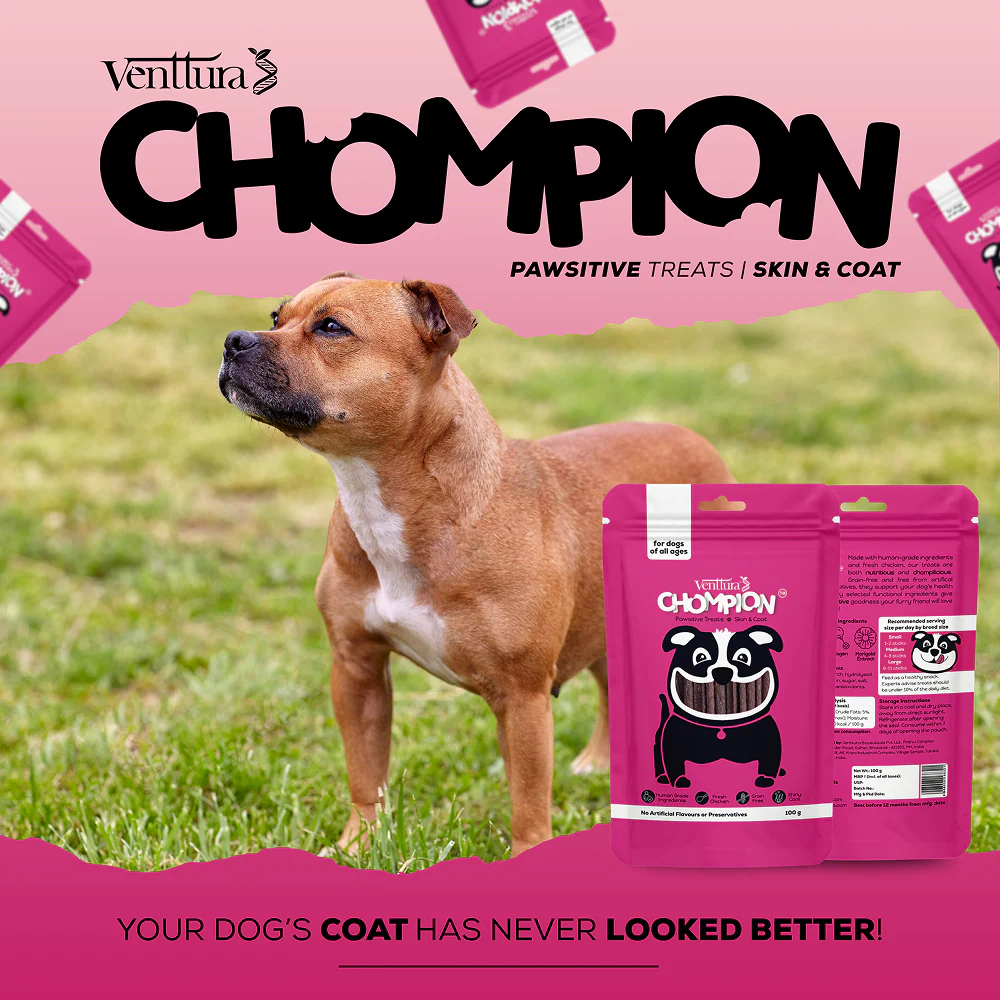 Venttura Chompion Pawsitive Skin and Coat Dog Treats - Image 8