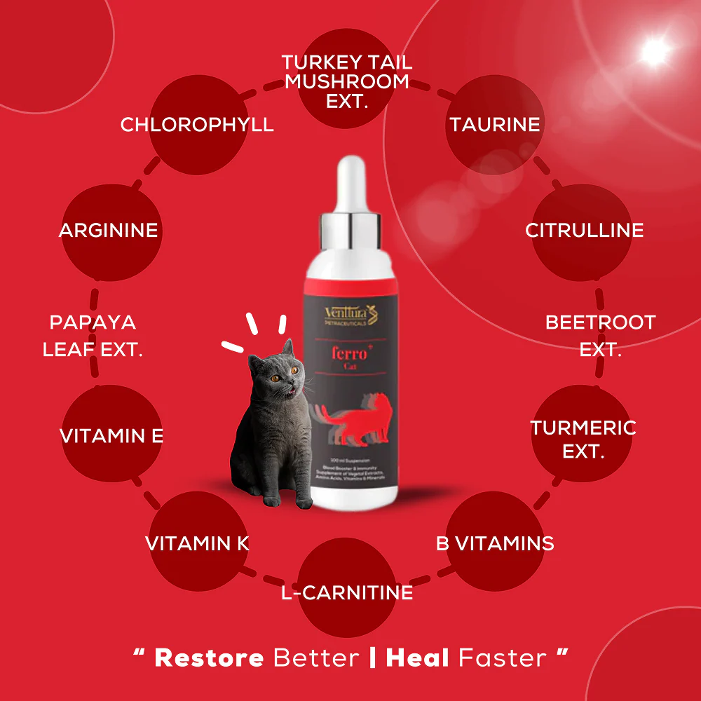 Venttura Ferro Blood Booster & Immunity Supplement for Cats - Image 2