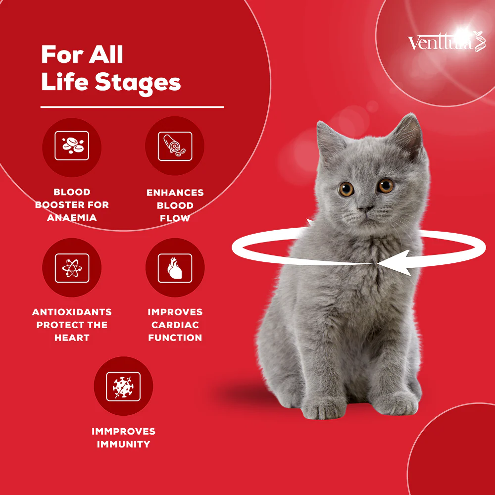 Venttura Ferro Blood Booster & Immunity Supplement for Cats - Image 3