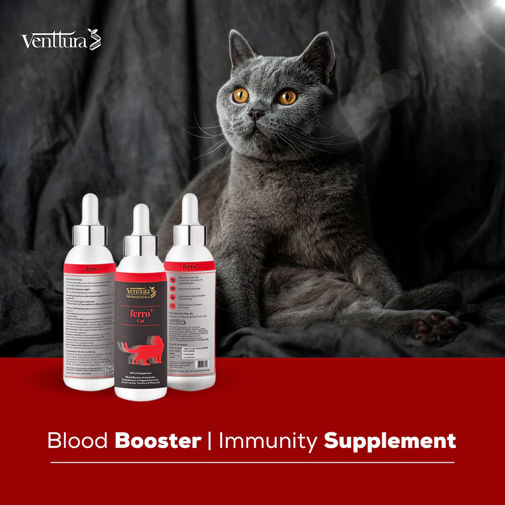 Venttura Ferro Blood Booster & Immunity Supplement for Cats - Image 4