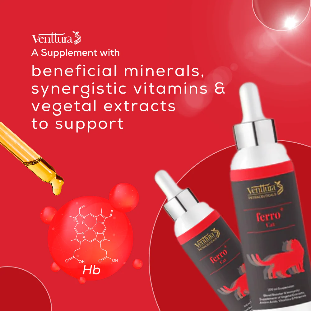 Venttura Ferro Blood Booster & Immunity Supplement for Cats - Image 5