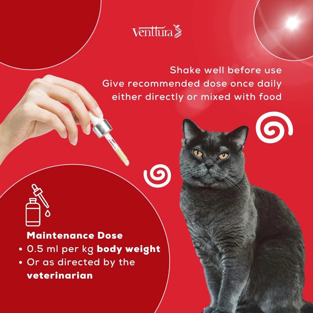 Venttura Ferro Blood Booster & Immunity Supplement for Cats - Image 6