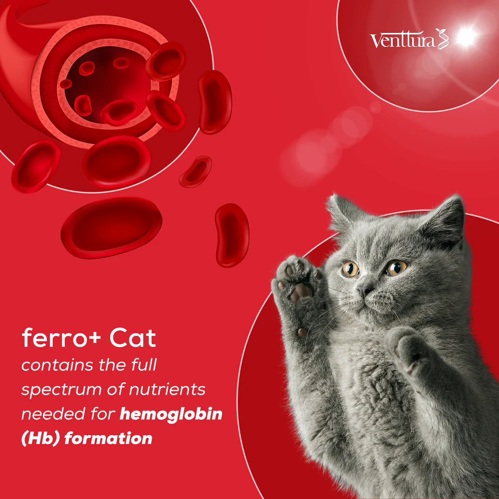 Venttura Ferro Blood Booster & Immunity Supplement for Cats - Image 7