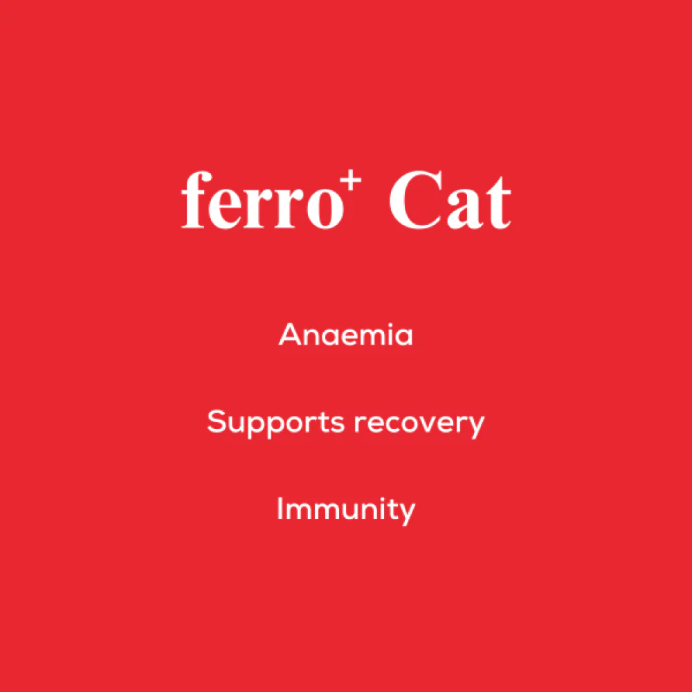 Venttura Ferro Blood Booster & Immunity Supplement for Cats - Image 8