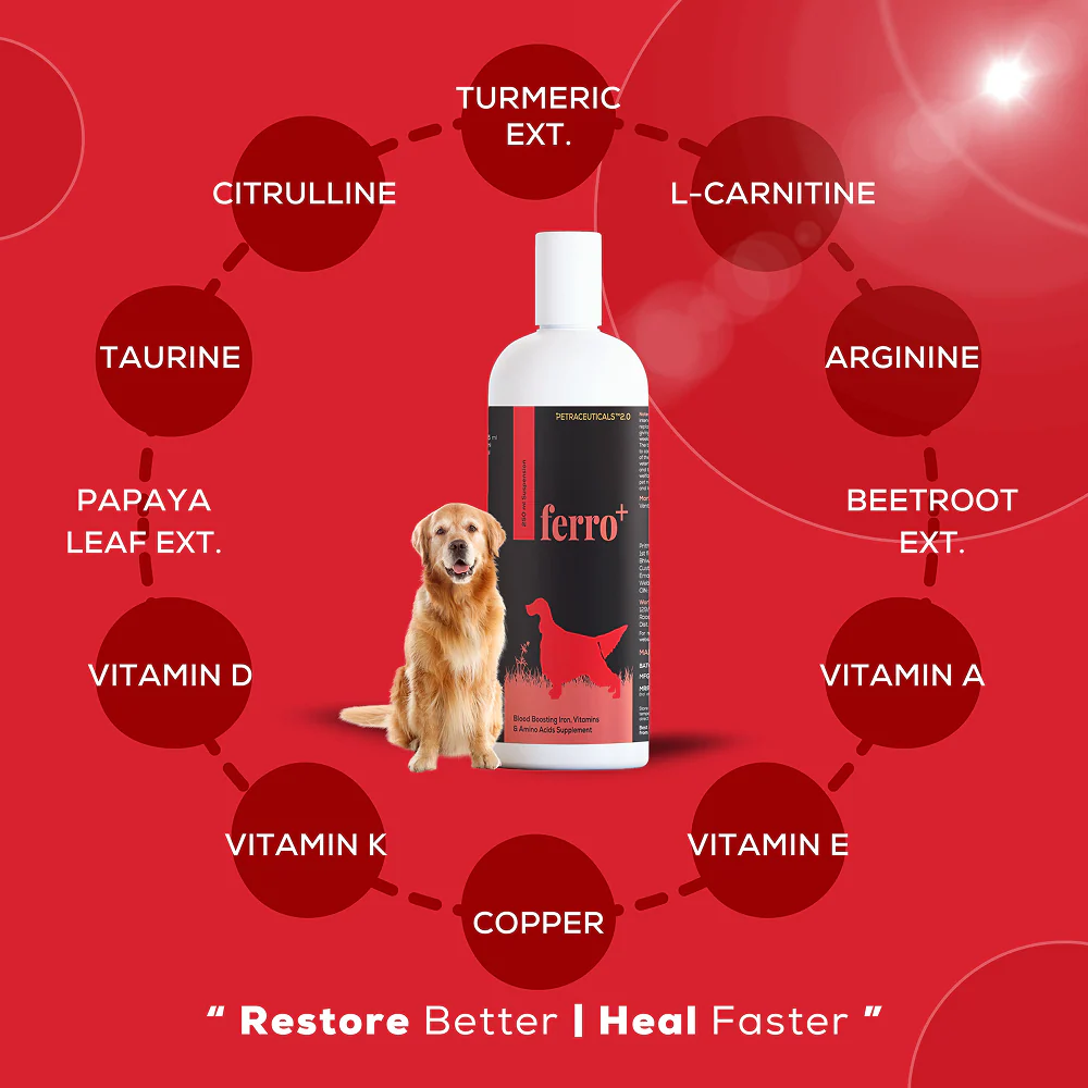 Venttura Ferro Plus Iron Supplements Syrup for Dogs - Image 2