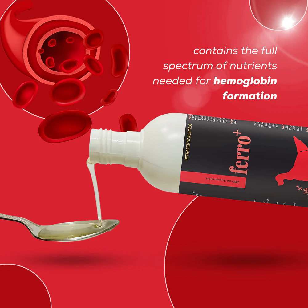 Venttura Ferro Plus Iron Supplements Syrup for Dogs - Image 3