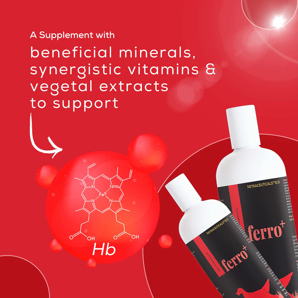 Venttura Ferro Plus Iron Supplements Syrup for Dogs - Image 4