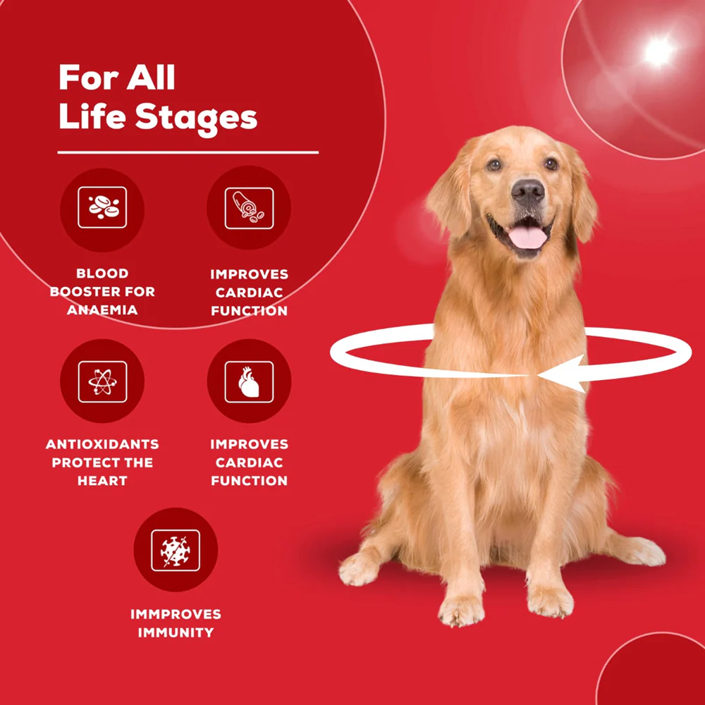 Venttura Ferro Plus Iron Supplements Syrup for Dogs - Image 5
