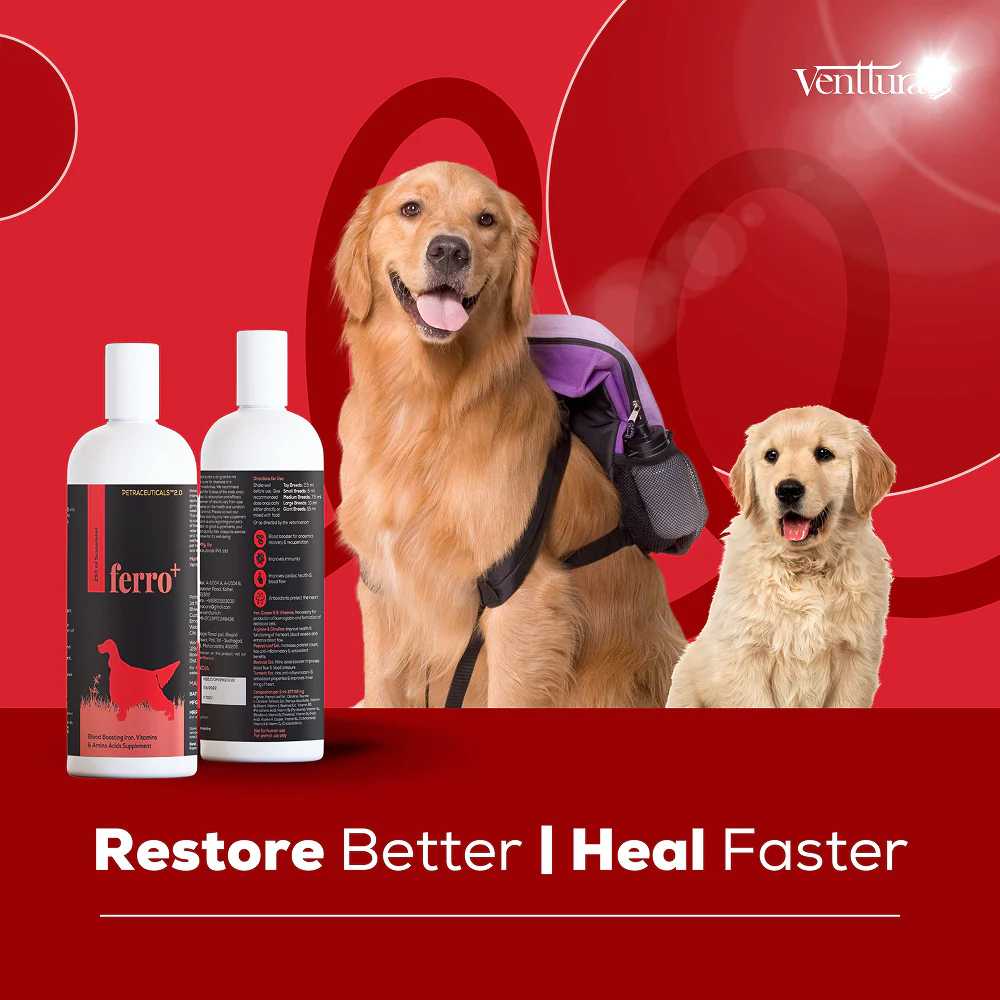 Venttura Ferro Plus Iron Supplements Syrup for Dogs - Image 7