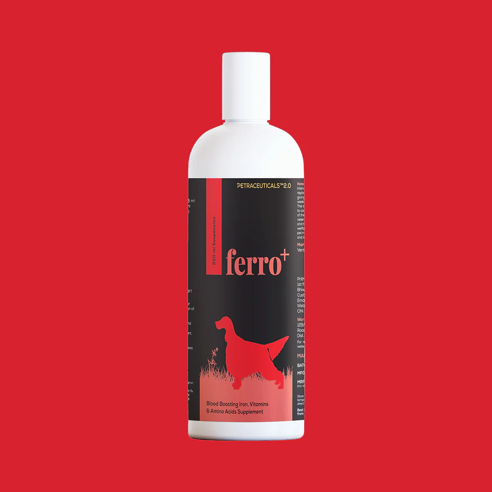 Venttura Ferro Plus Iron Supplements Syrup for Dogs - Image 8
