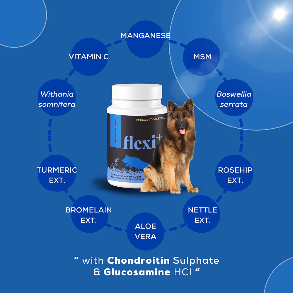 Venttura Flexi Plus Hip and Joint Chewable Tablets for Dogs - Image 2