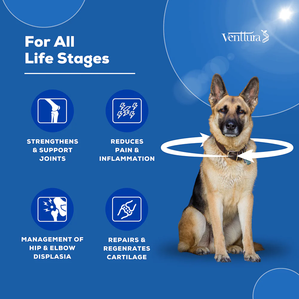 Venttura Flexi Plus Hip and Joint Chewable Tablets for Dogs - Image 4