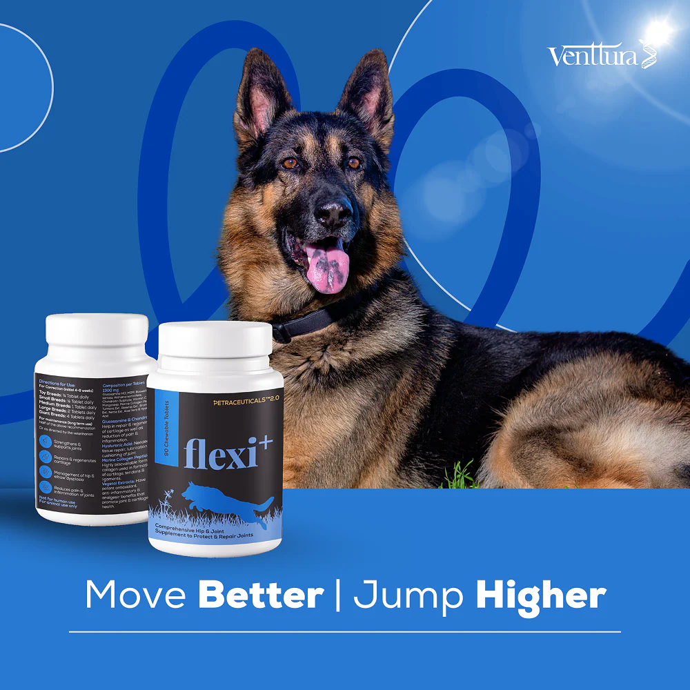 Venttura Flexi Plus Hip and Joint Chewable Tablets for Dogs - Image 5
