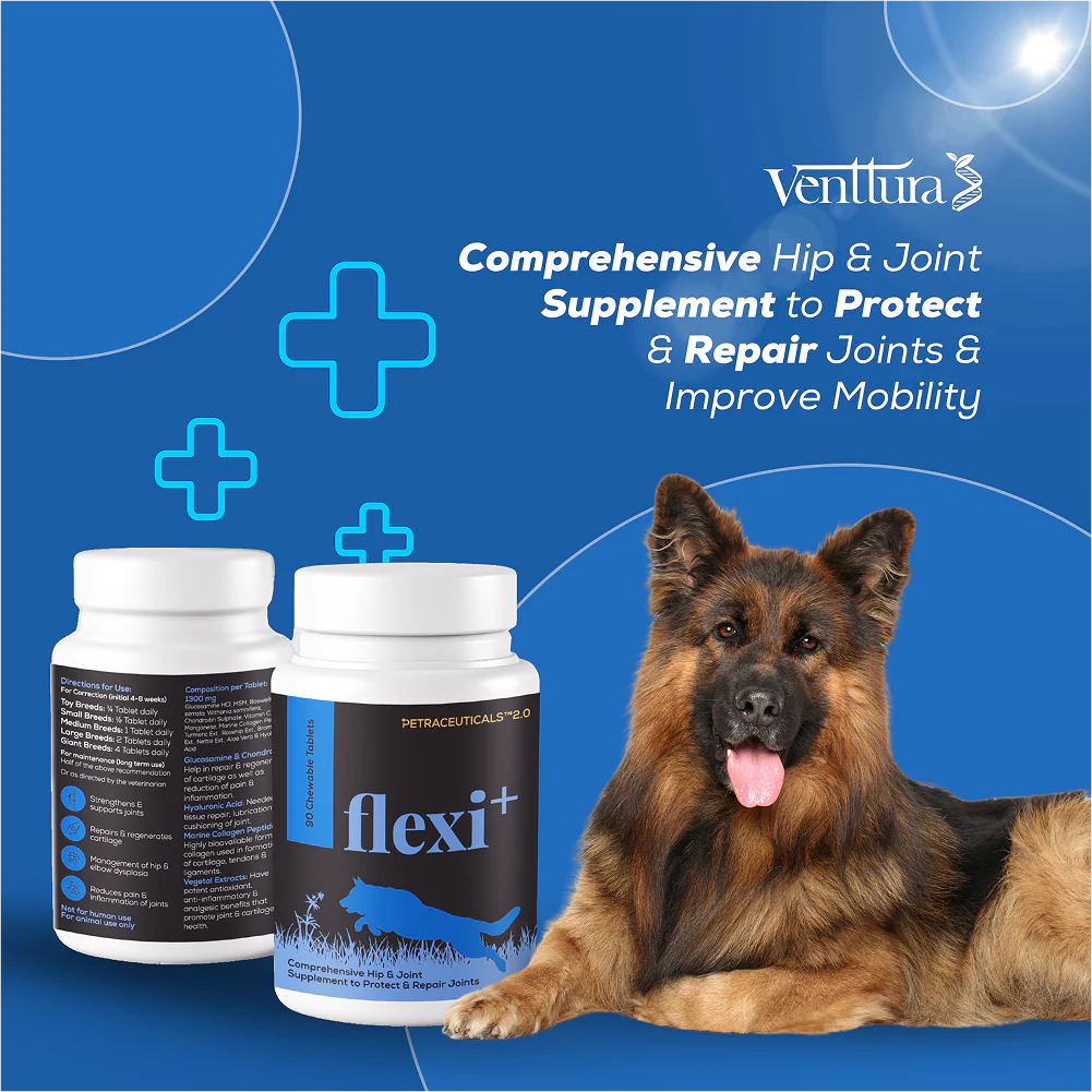 Venttura Flexi Plus Hip and Joint Chewable Tablets for Dogs - Image 7