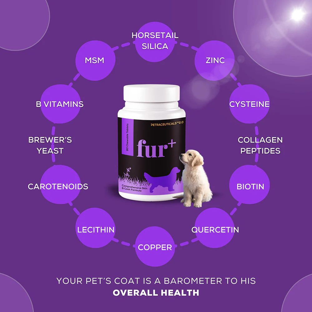Venttura Fur Plus Chewable Skin & Coat Supplement Tablets for Dogs - Image 2
