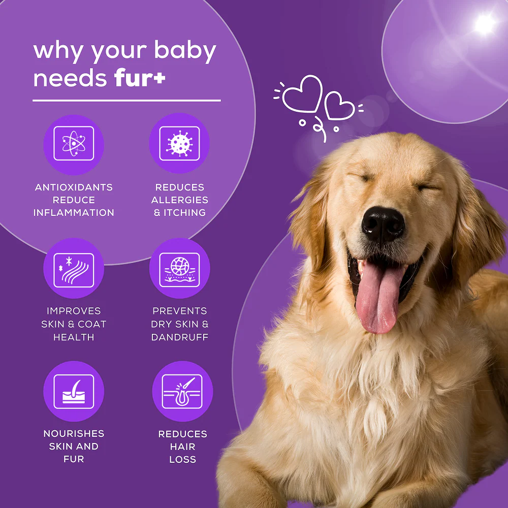 Venttura Fur Plus Chewable Skin & Coat Supplement Tablets for Dogs - Image 4