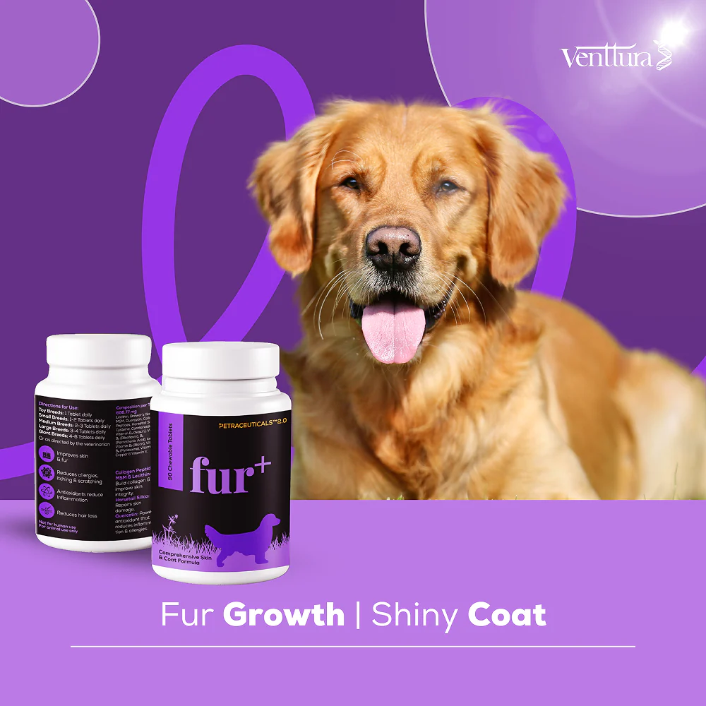 Venttura Fur Plus Chewable Skin & Coat Supplement Tablets for Dogs - Image 7