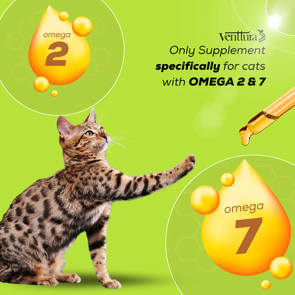 Venttura Healthy Skin & Glowing Coat Omega Fatty Acid Supplement for Cats - Image 2