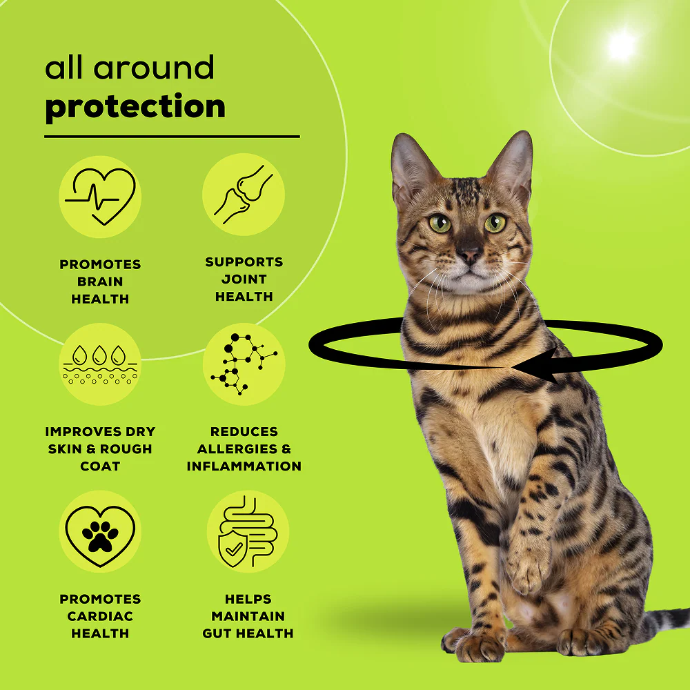 Venttura Healthy Skin & Glowing Coat Omega Fatty Acid Supplement for Cats - Image 5