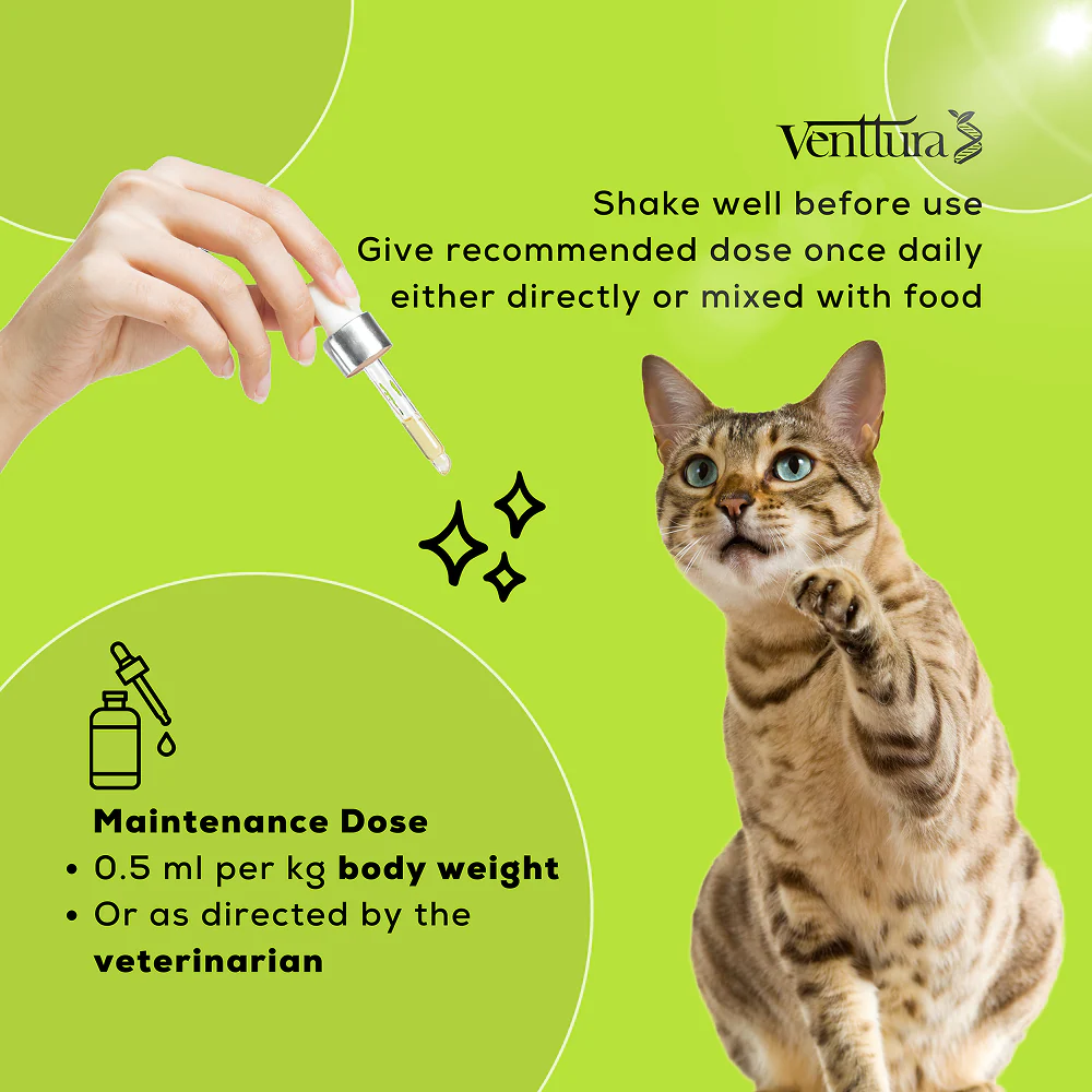 Venttura Healthy Skin & Glowing Coat Omega Fatty Acid Supplement for Cats - Image 6