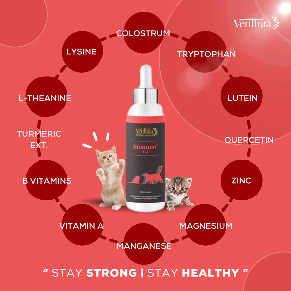 Venttura Immunity Booster & Calming Supplement for Cats - Image 2