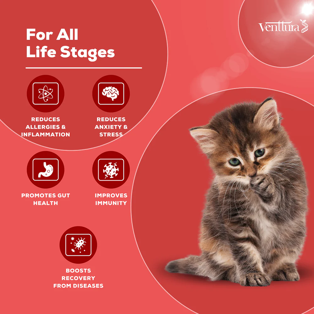Venttura Immunity Booster & Calming Supplement for Cats - Image 3
