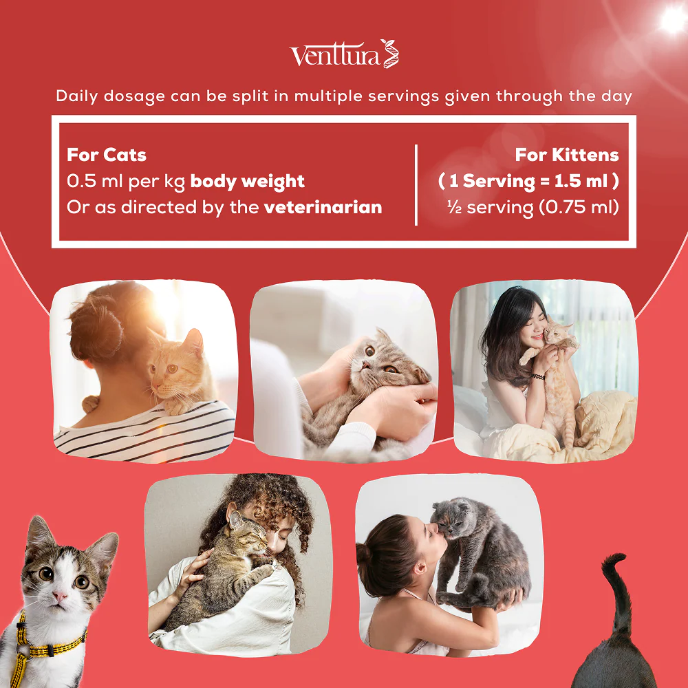 Venttura Immunity Booster & Calming Supplement for Cats - Image 4