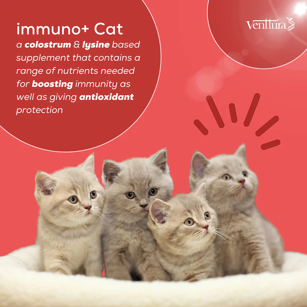 Venttura Immunity Booster & Calming Supplement for Cats - Image 5