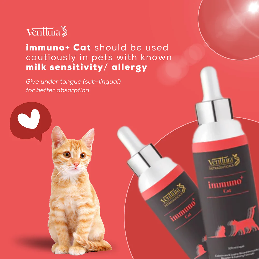 Venttura Immunity Booster & Calming Supplement for Cats - Image 6