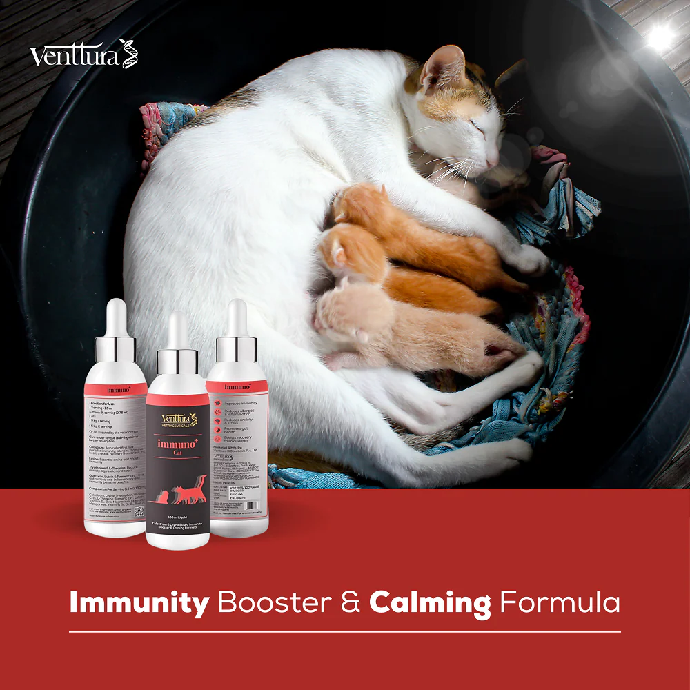 Venttura Immunity Booster & Calming Supplement for Cats - Image 7