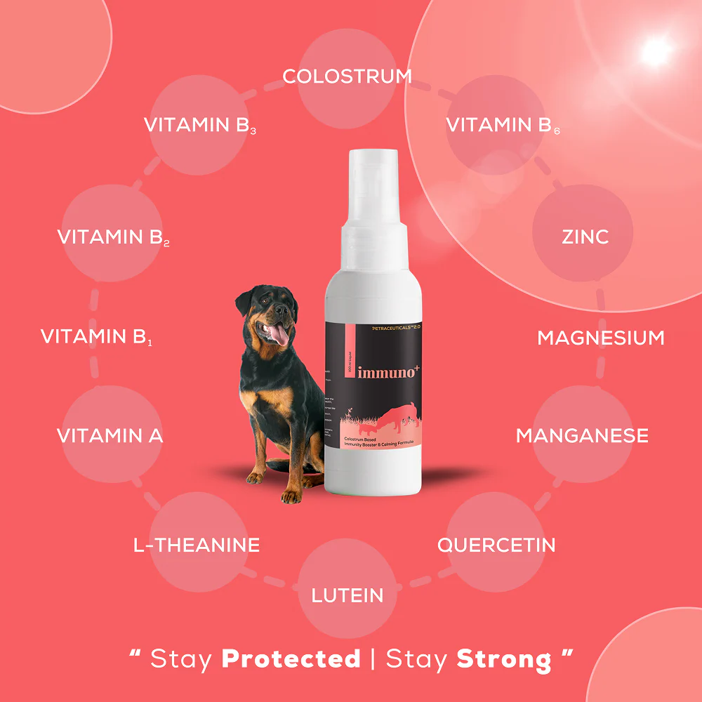 Venttura Immuno Plus Immunity Booster Spray for Dogs - Image 2