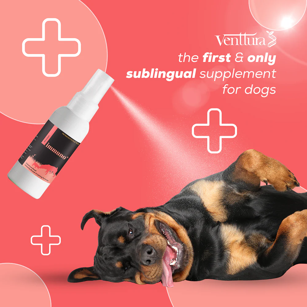 Venttura Immuno Plus Immunity Booster Spray for Dogs - Image 3