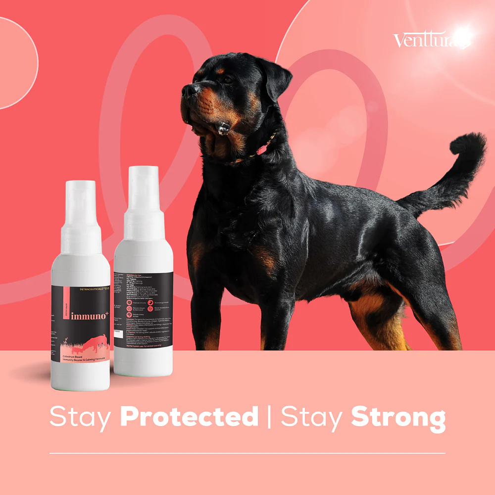 Venttura Immuno Plus Immunity Booster Spray for Dogs - Image 6