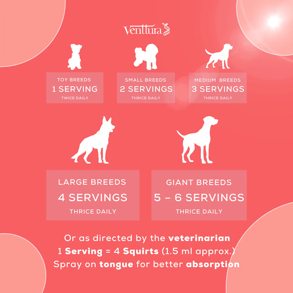Venttura Immuno Plus Immunity Booster Spray for Dogs - Image 7