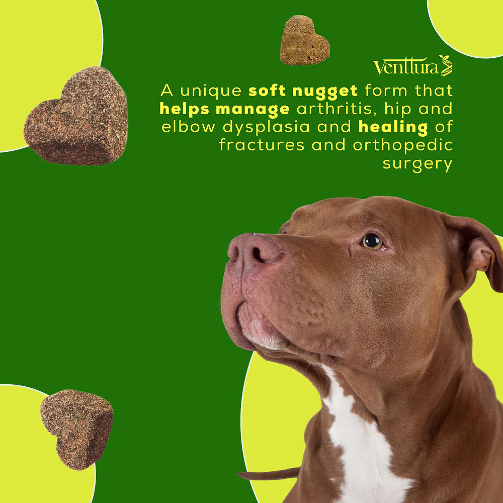 Venttura Inhancer Hip & Joint Soft Nuggets Supplements for Dogs - Image 2