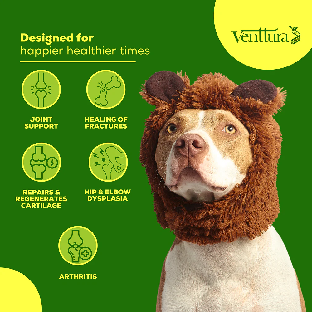 Venttura Inhancer Hip & Joint Soft Nuggets Supplements for Dogs - Image 3