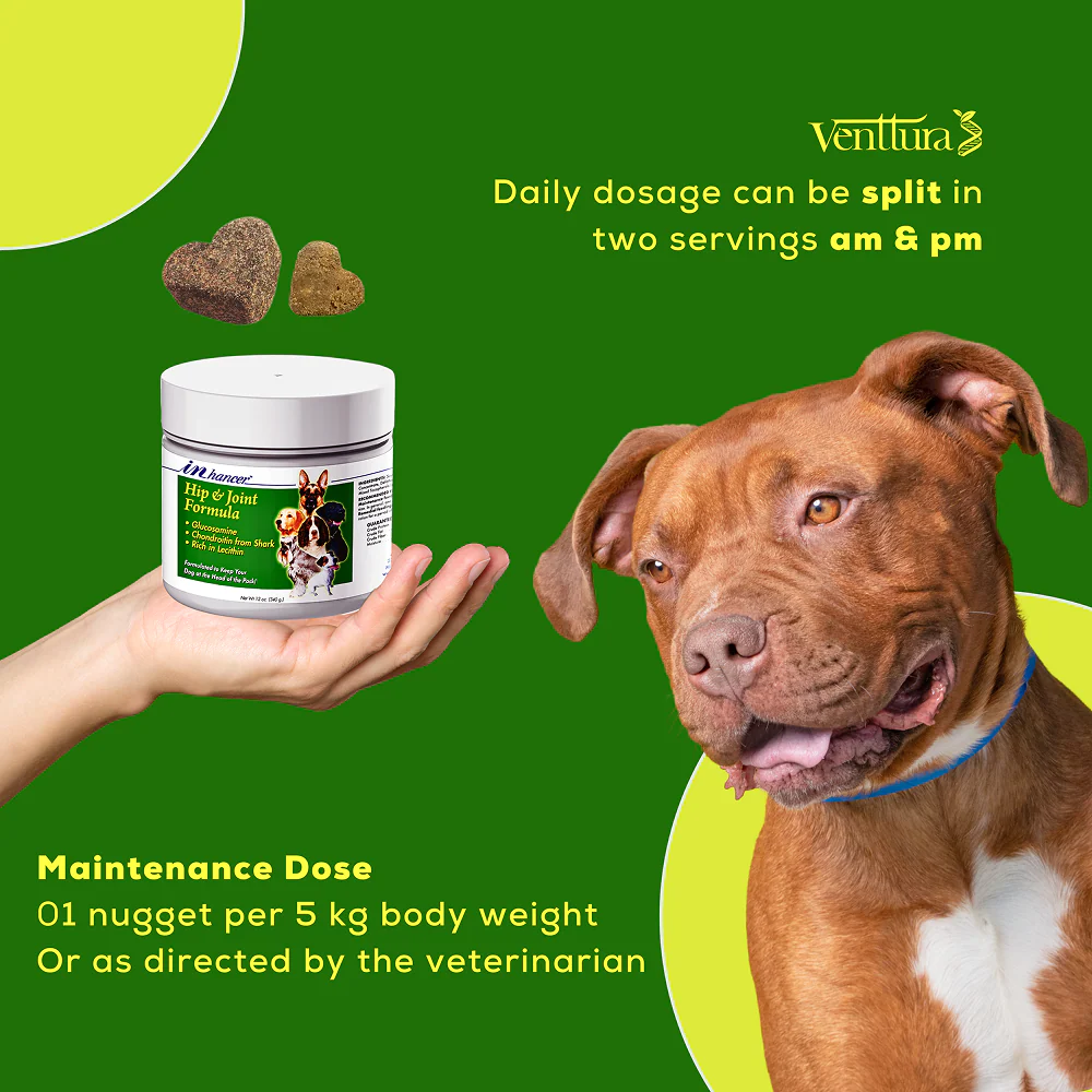 Venttura Inhancer Hip & Joint Soft Nuggets Supplements for Dogs - Image 4