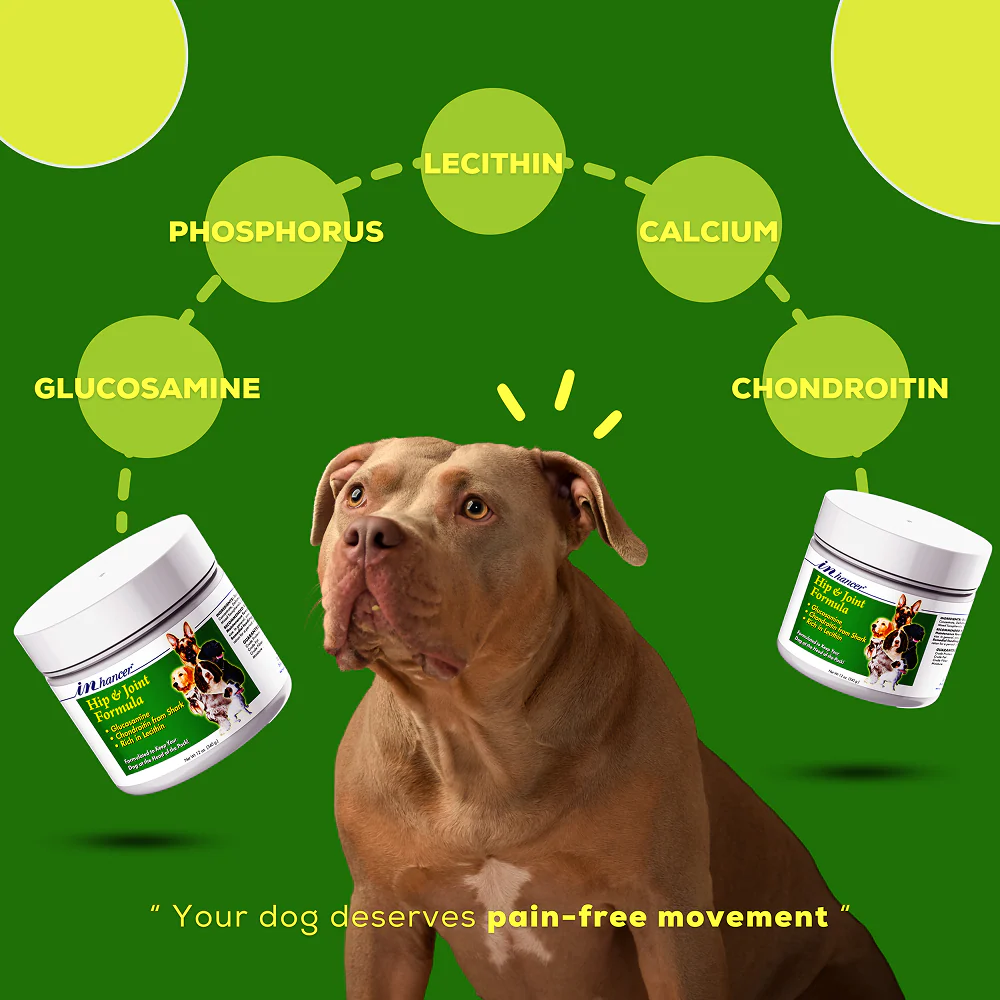 Venttura Inhancer Hip & Joint Soft Nuggets Supplements for Dogs - Image 7