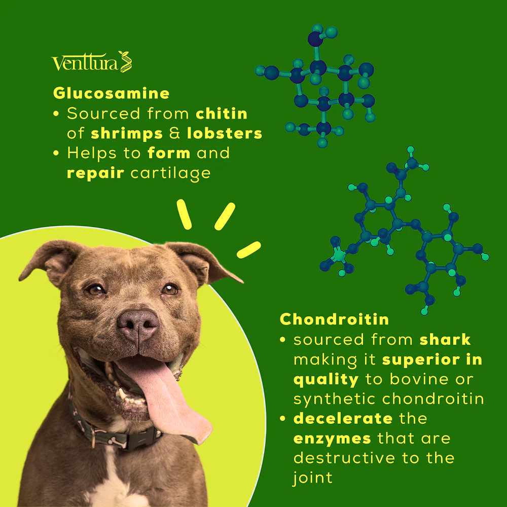 Venttura Inhancer Hip & Joint Soft Nuggets Supplements for Dogs - Image 8