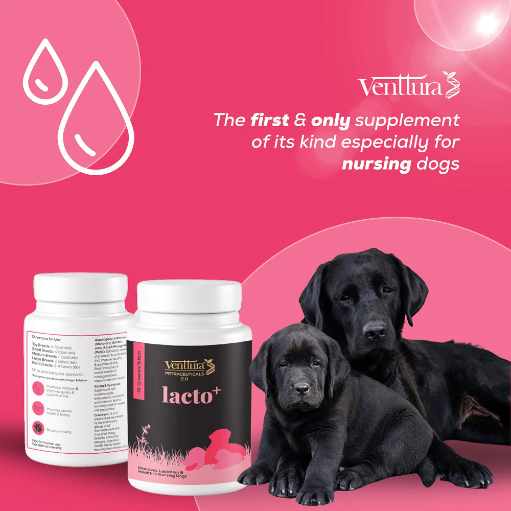 Venttura Lacto Plus Milk Boosters Chewable Tablets for Dogs - Image 2