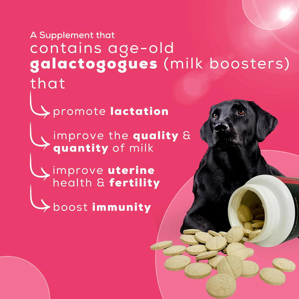 Venttura Lacto Plus Milk Boosters Chewable Tablets for Dogs - Image 6