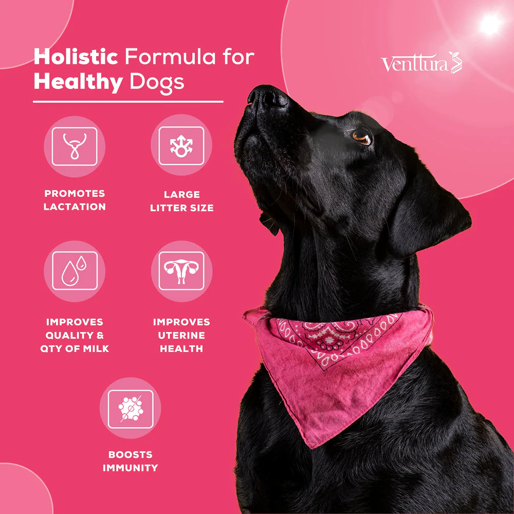 Venttura Lacto Plus Milk Boosters Chewable Tablets for Dogs - Image 7