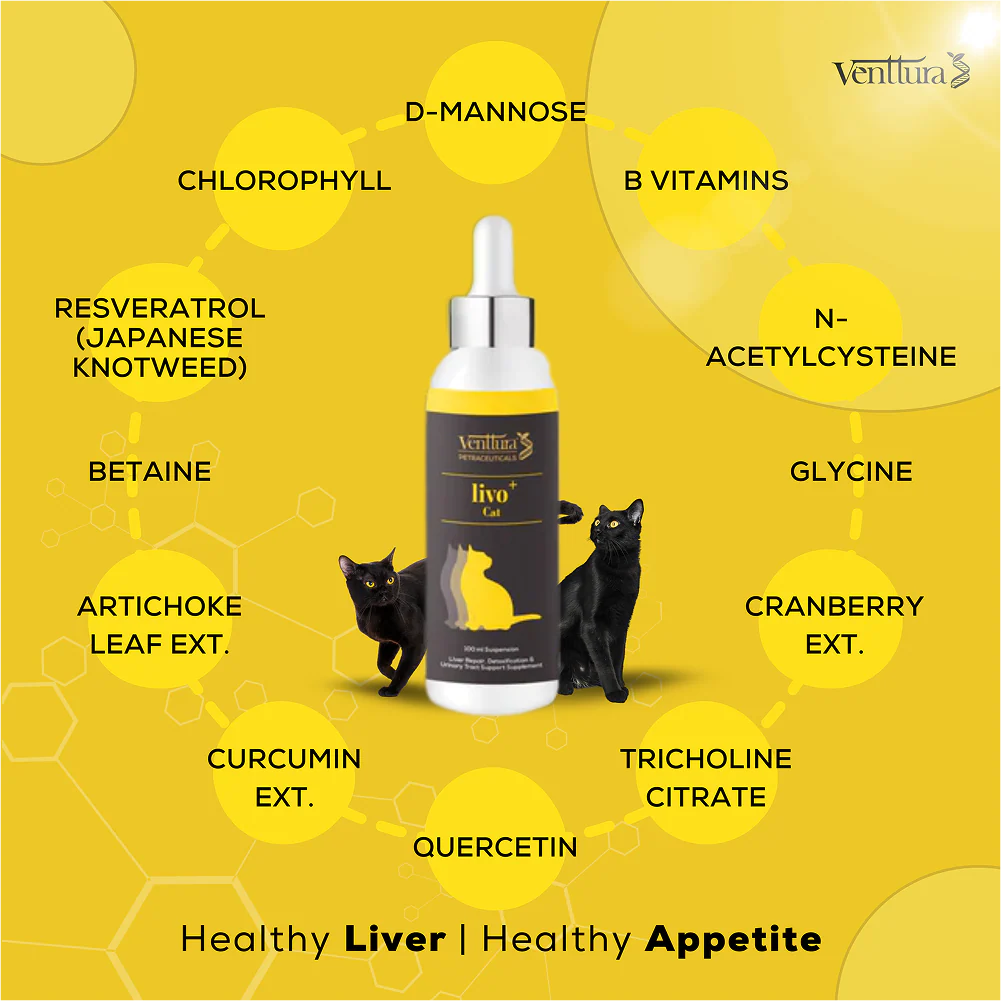 Venttura Liver Repair, Support Recovery & Recuperation Supplement for Cats - Image 2